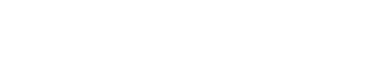 LAC Investment